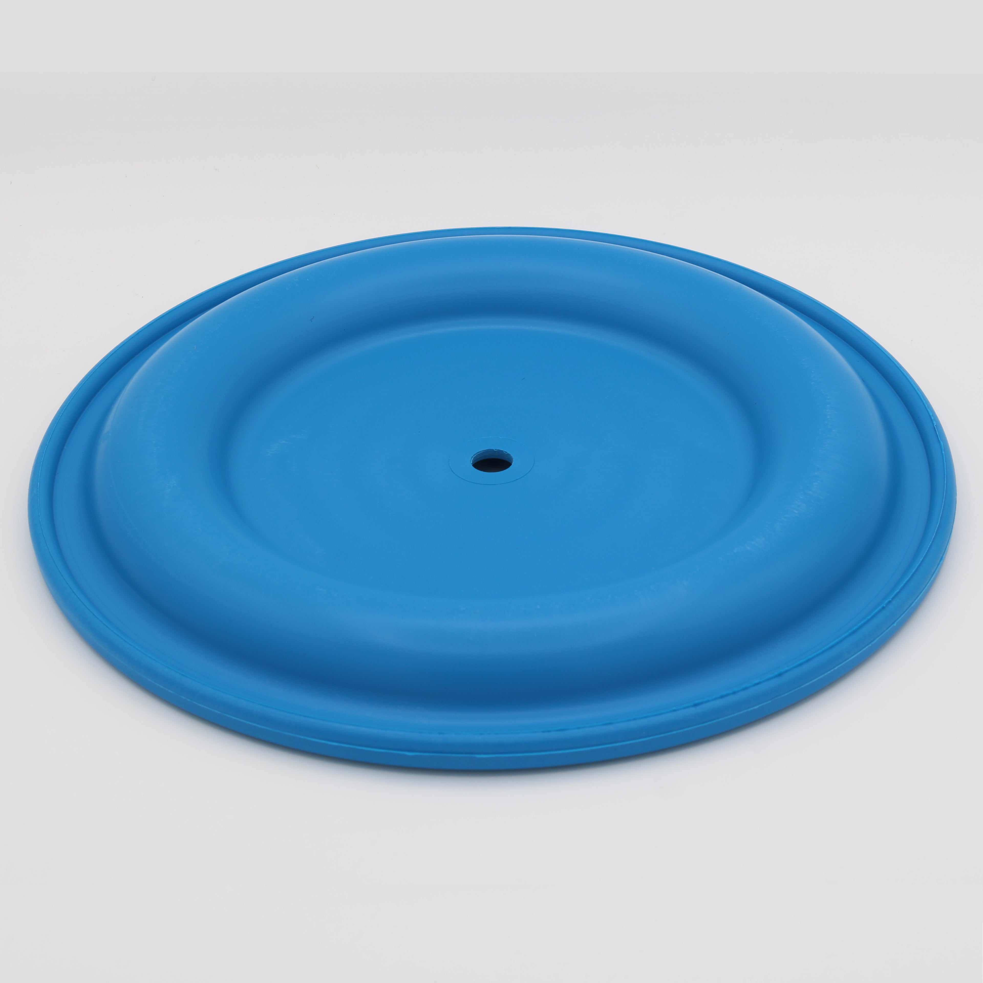 25P266 - Diaphragm Kit